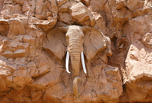 Фотообои слон Divino Decor Фотопанно 4-х полосные P-005